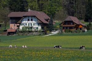 5628406114_3105b9fb33_z